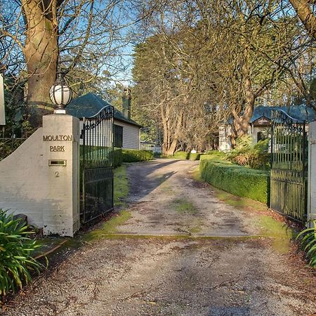 Moulton Park Estate - Cottages Sassafras Εξωτερικό φωτογραφία
