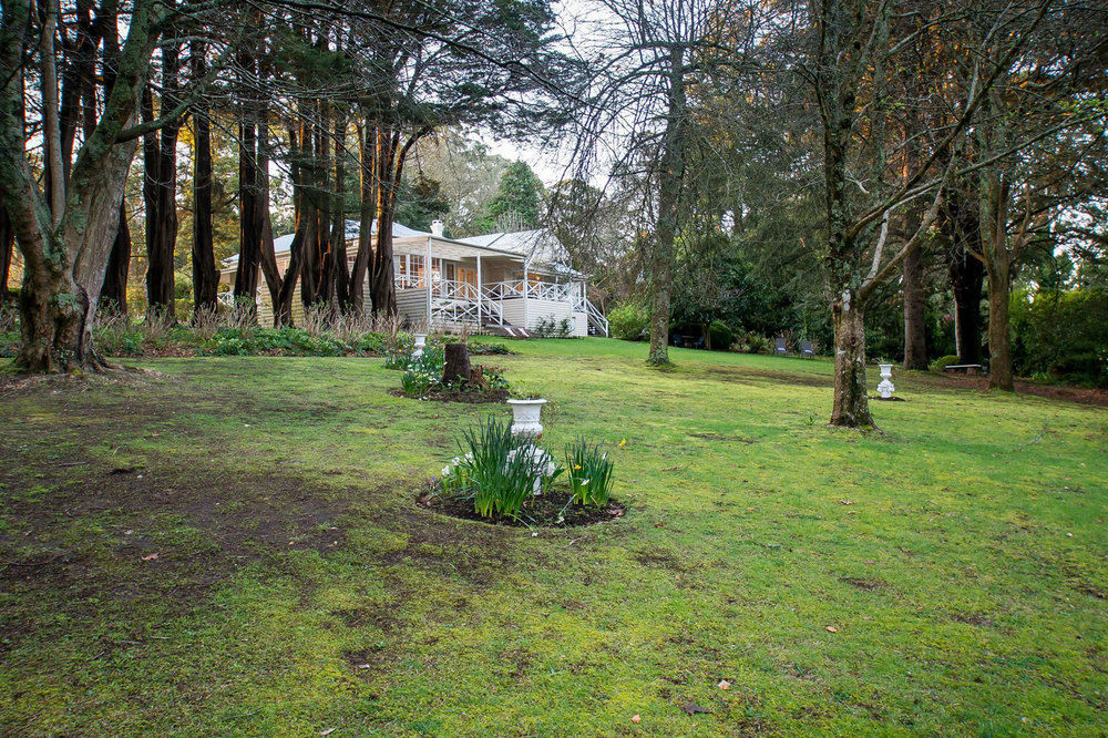 Moulton Park Estate - Cottages Sassafras Εξωτερικό φωτογραφία