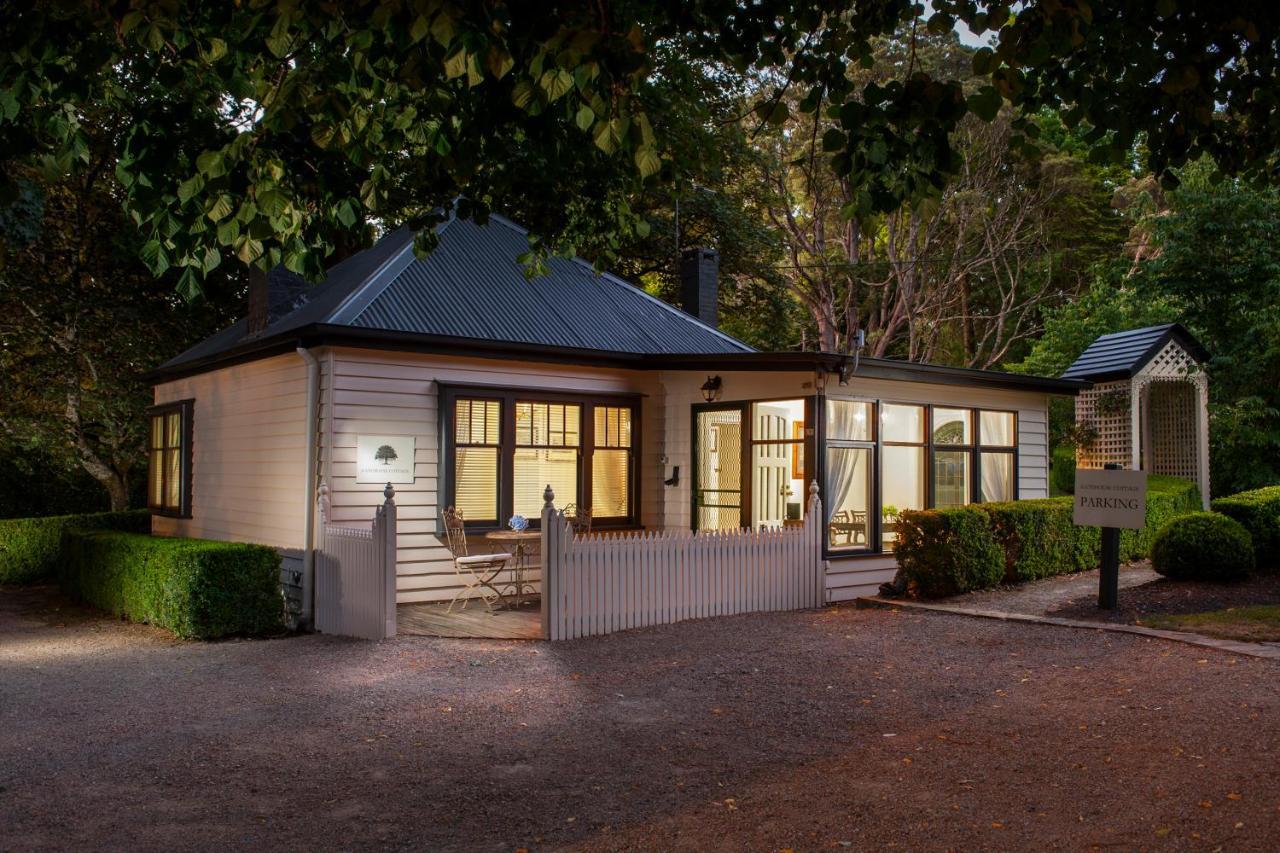 Moulton Park Estate - Cottages Sassafras Εξωτερικό φωτογραφία